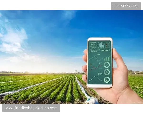 全面解析AG在线app的最新功能与特色,助你快速掌握游戏技巧与玩法策略 全面解析AG在线app的最新功能与特色,助你快速掌握游戏技巧与玩法策略