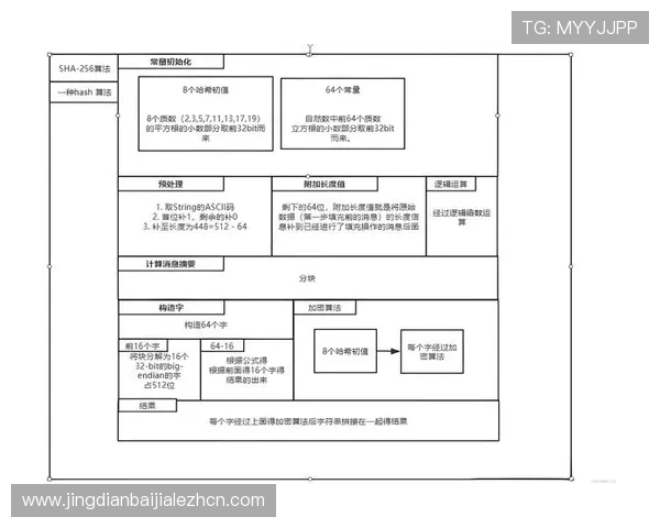 如何在AG现金APP中快速注册账号并保障个人信息安全的详细操作流程
