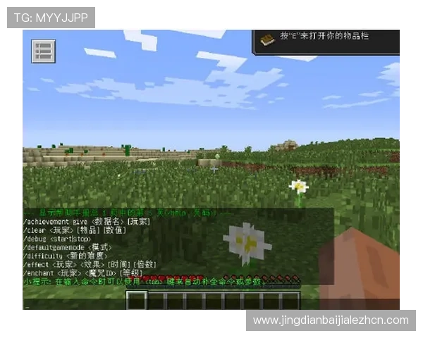 免费下载百家楽游戏路单电脑版，提供详细操作指南与实用技巧，助你轻松掌握游戏节奏